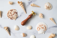 Load image into Gallery viewer, Seashell Wax Seal Stamp Kit